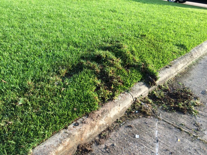 15194482652_37fa3f194b_o