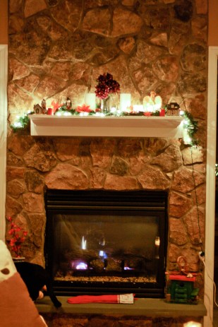 10808872893_fafd7bc381_k